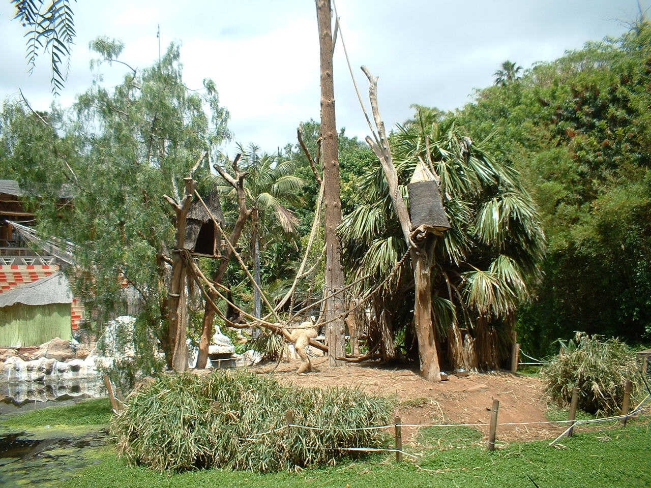 Gibbon enclosure at Aguilas Jungle Park in Tenerife, 19 May 2004
