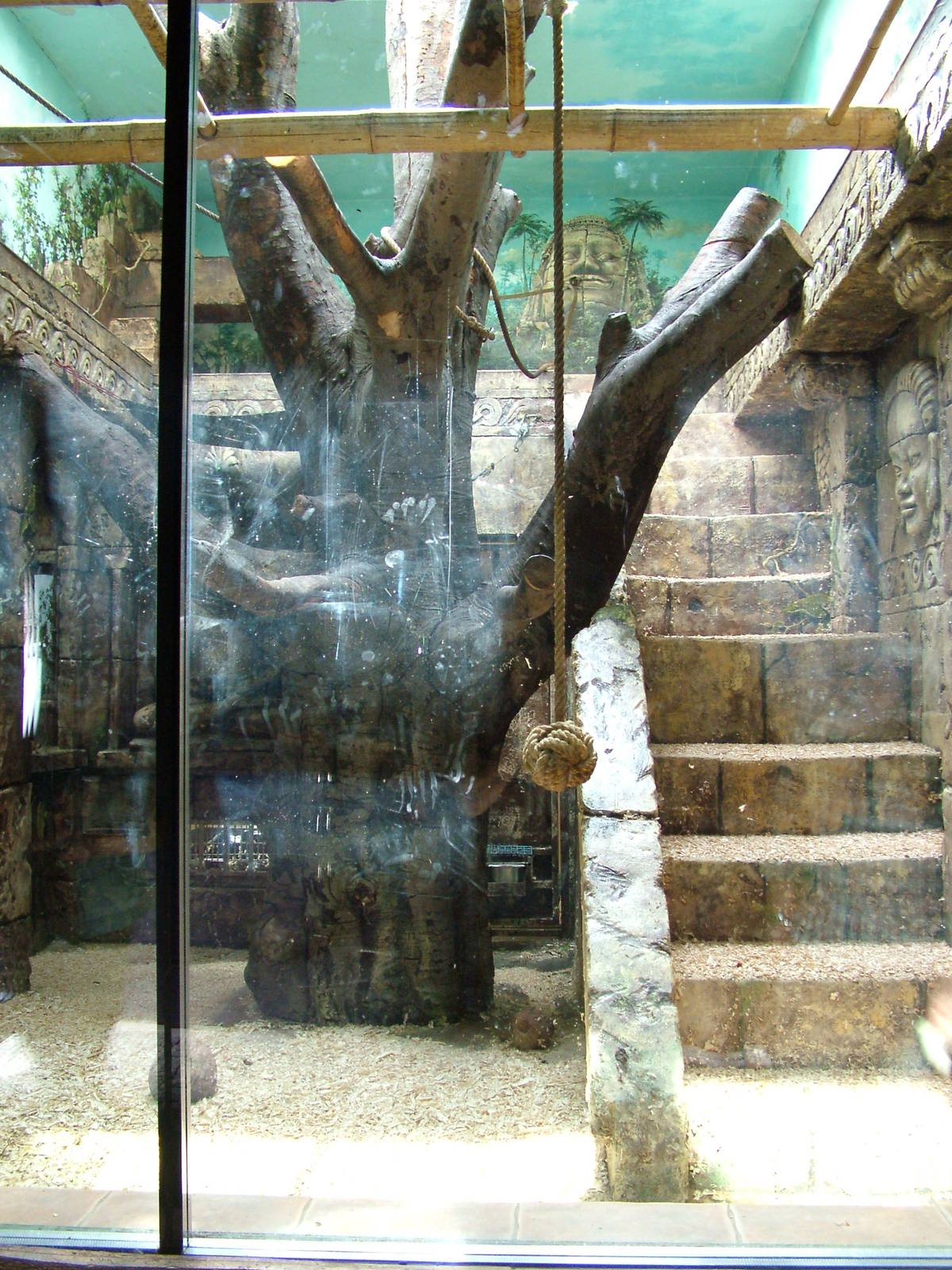 Gibbon Enclosure at Chleby, 26/08/12