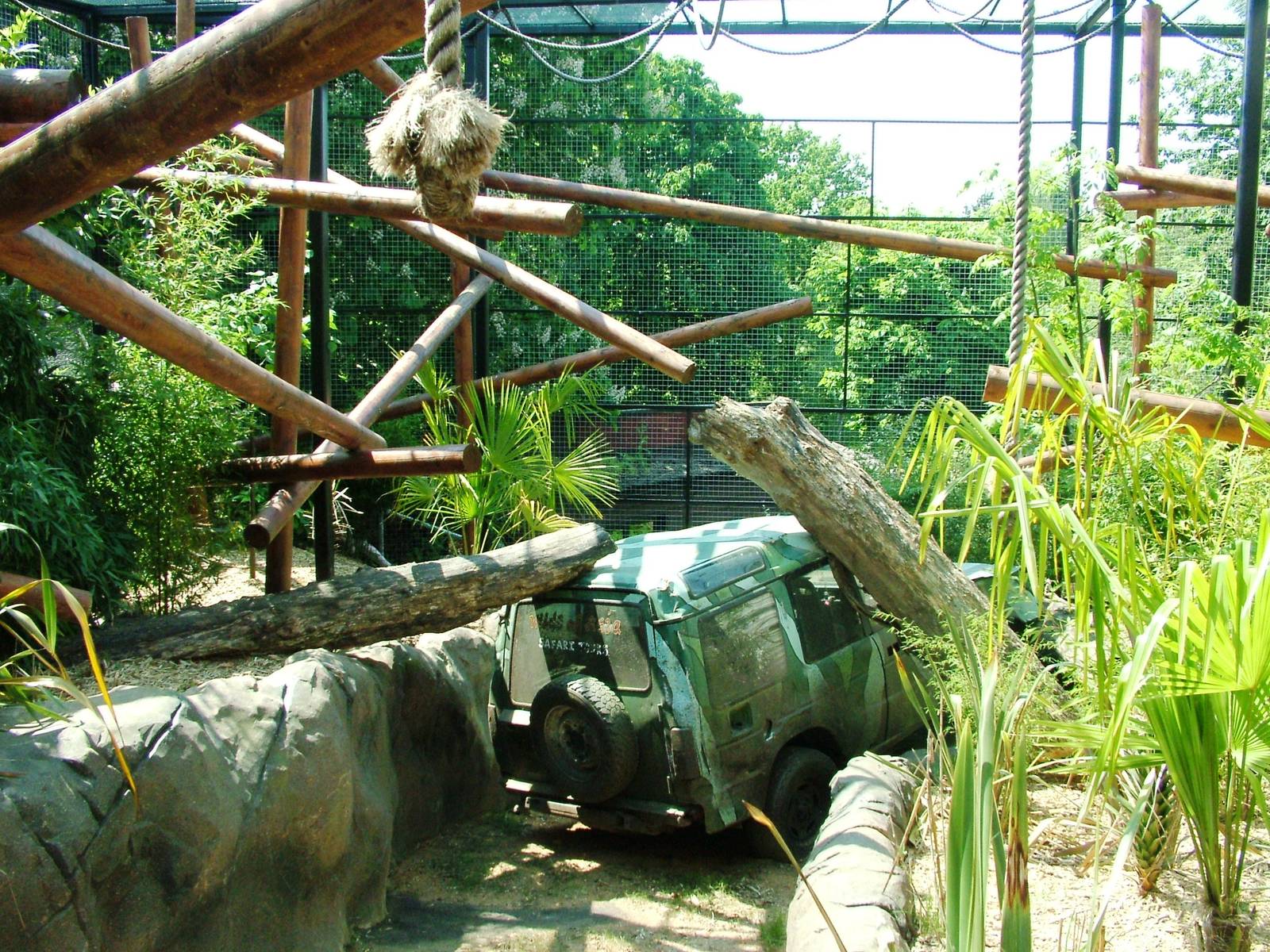 Gibbon Enclosure at Colchester, 28/05/12