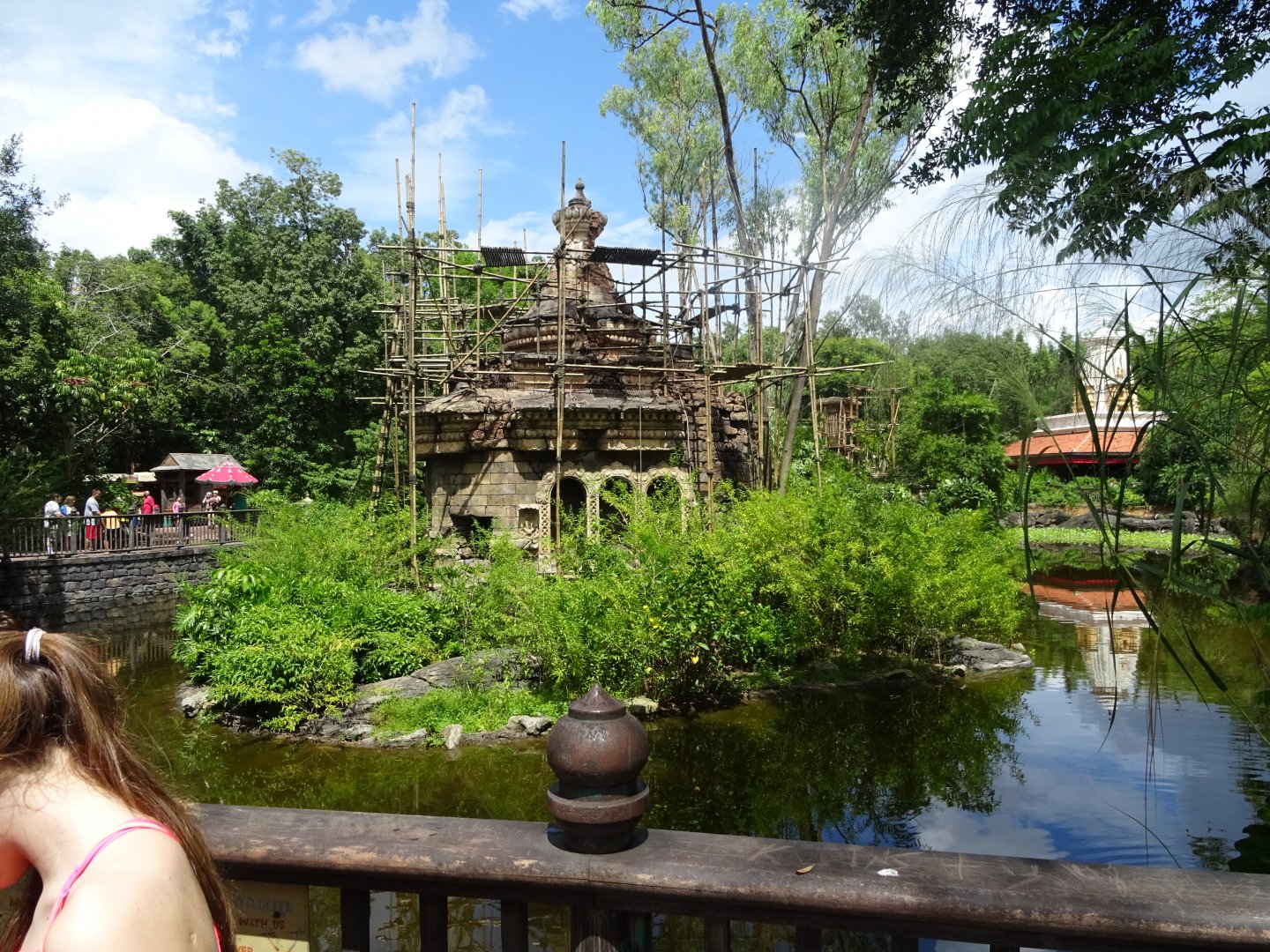 Gibbon Enclosure at Disney's Animal Kingdom (2014)