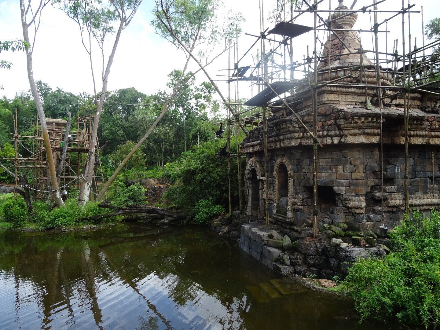 Gibbon Enclosure at Disney's Animal Kingdom (2014)