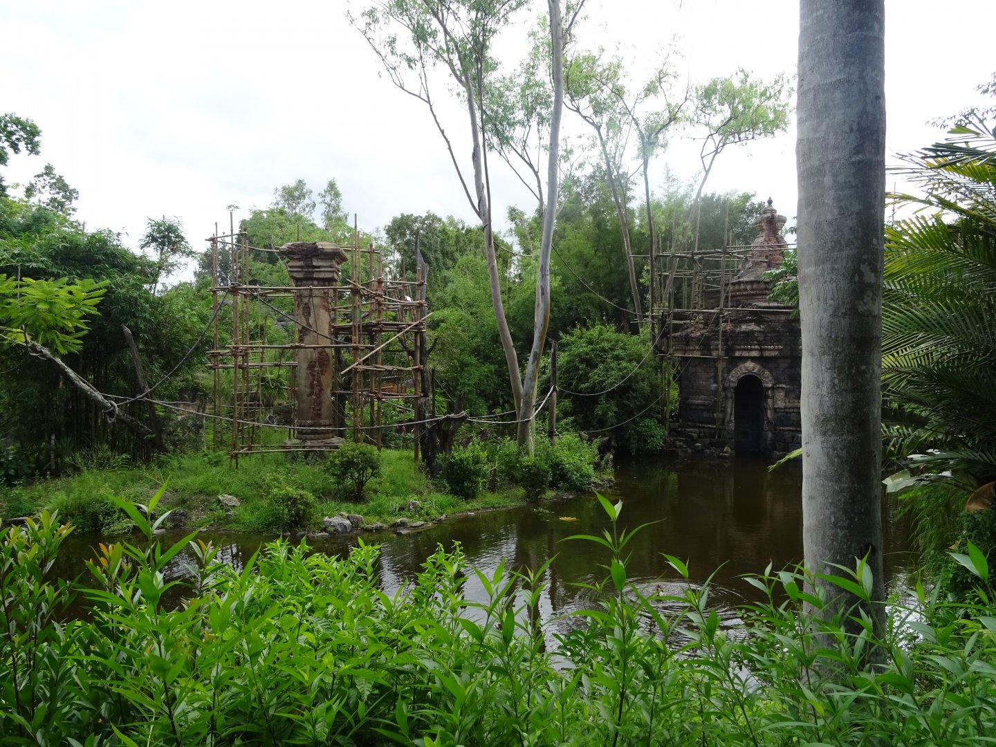 Gibbon Enclosure at Disney's Animal Kingdom (2014)