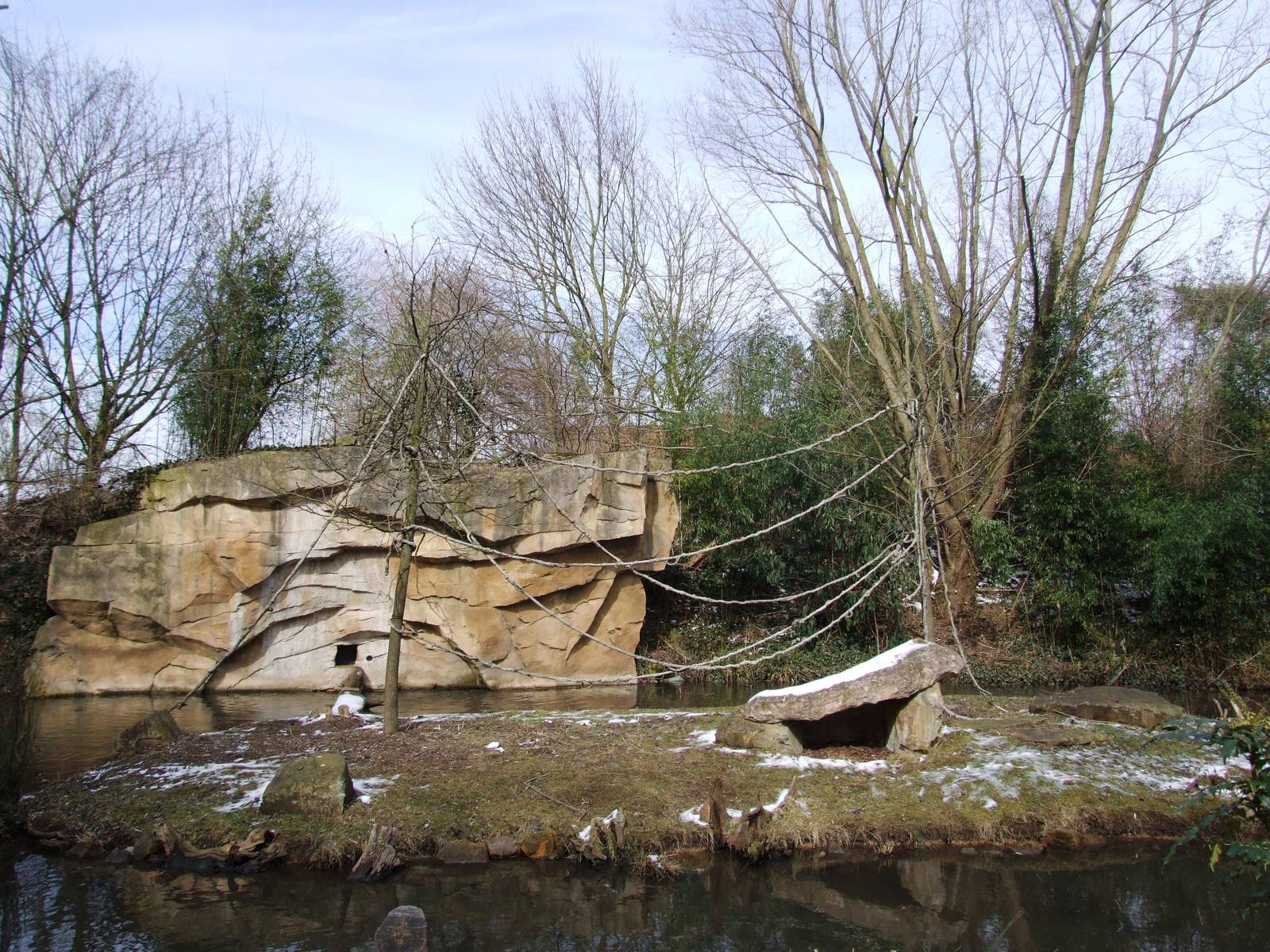 Gibbon Enclosure at Hannover, 23/03/13