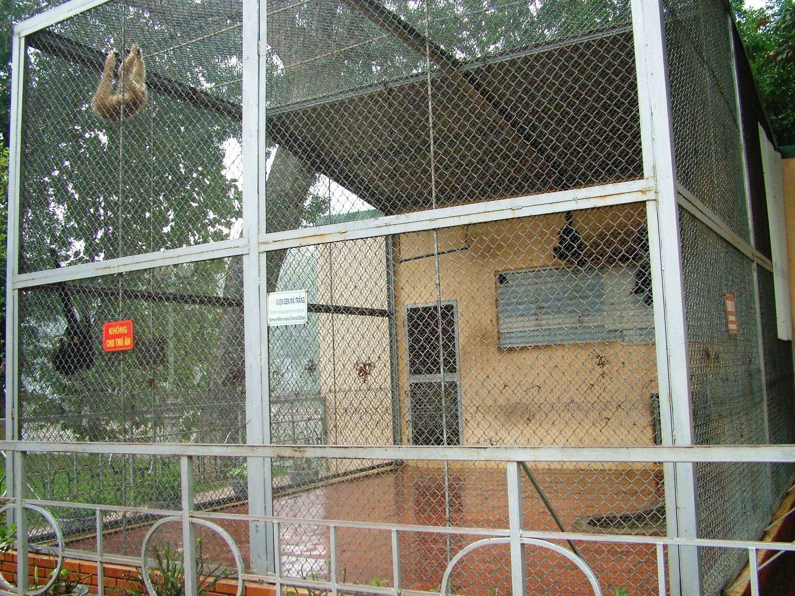 Gibbon Enclosure at Hanoi Zoo, 15/03/12