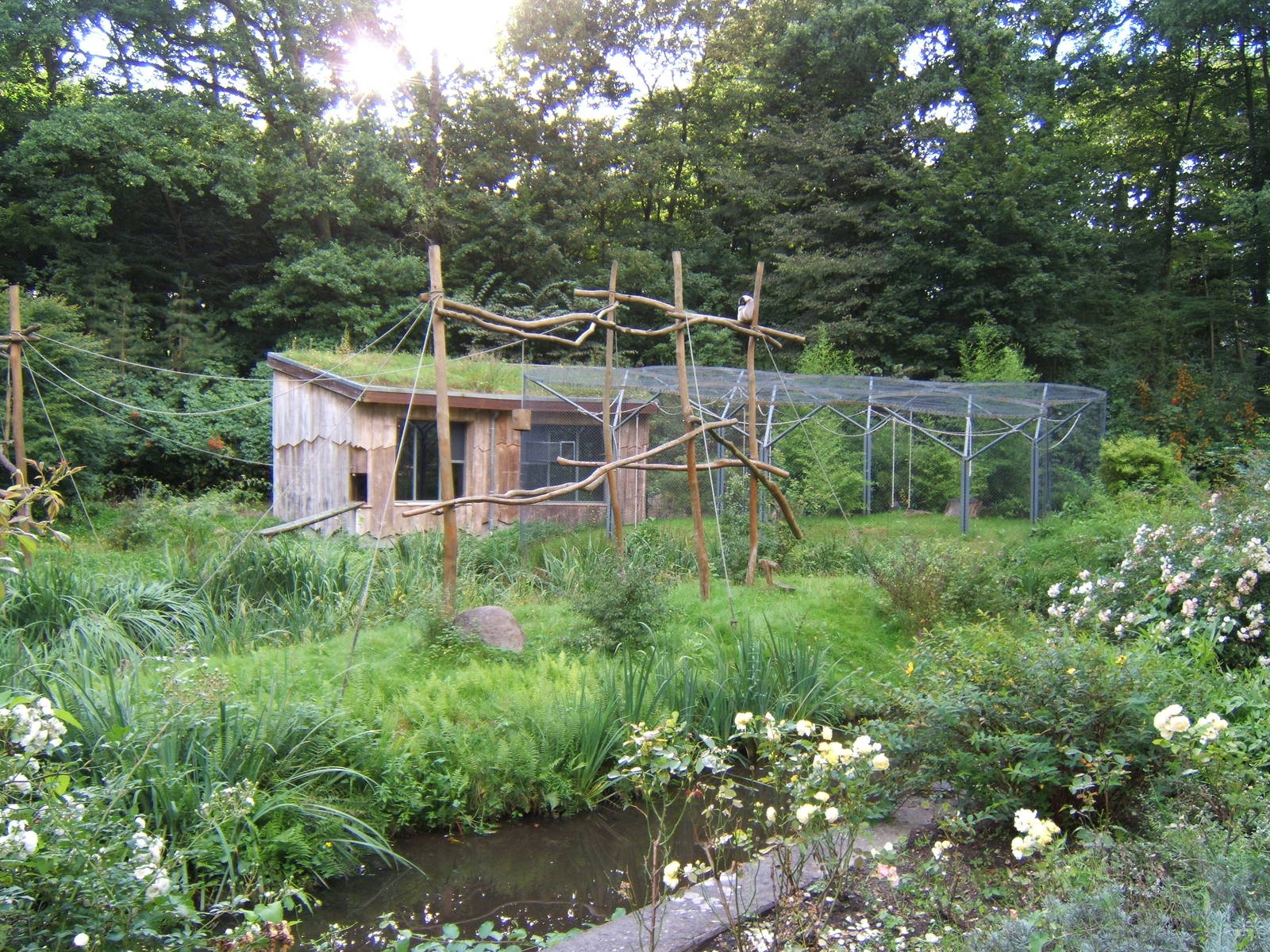Gibbon enclosure at Schwerin Zoo