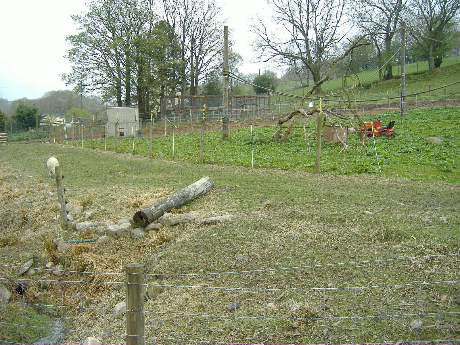 Gibbon Enclosure Cefn-yr-Erw