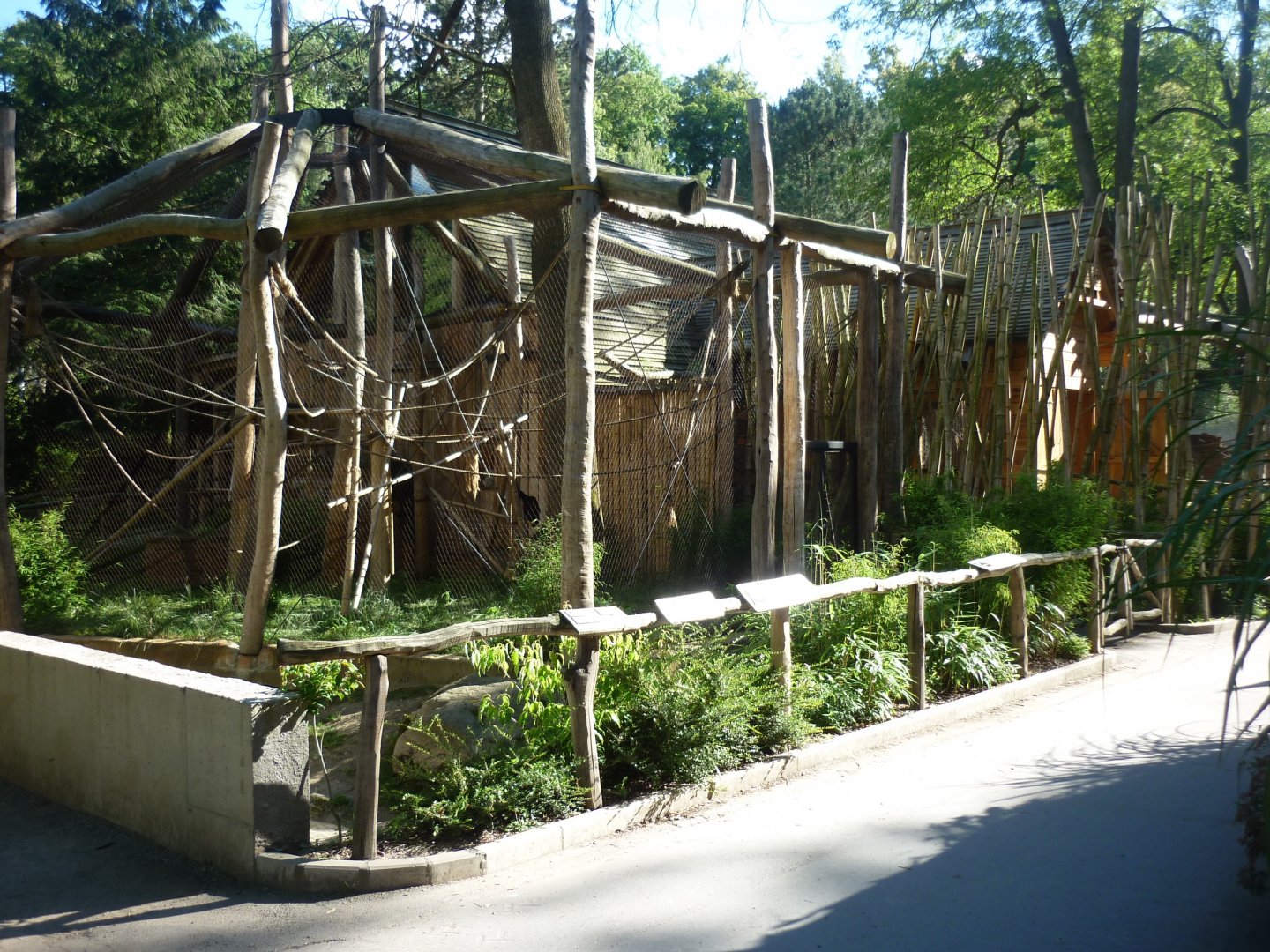 Gibbon enclosure