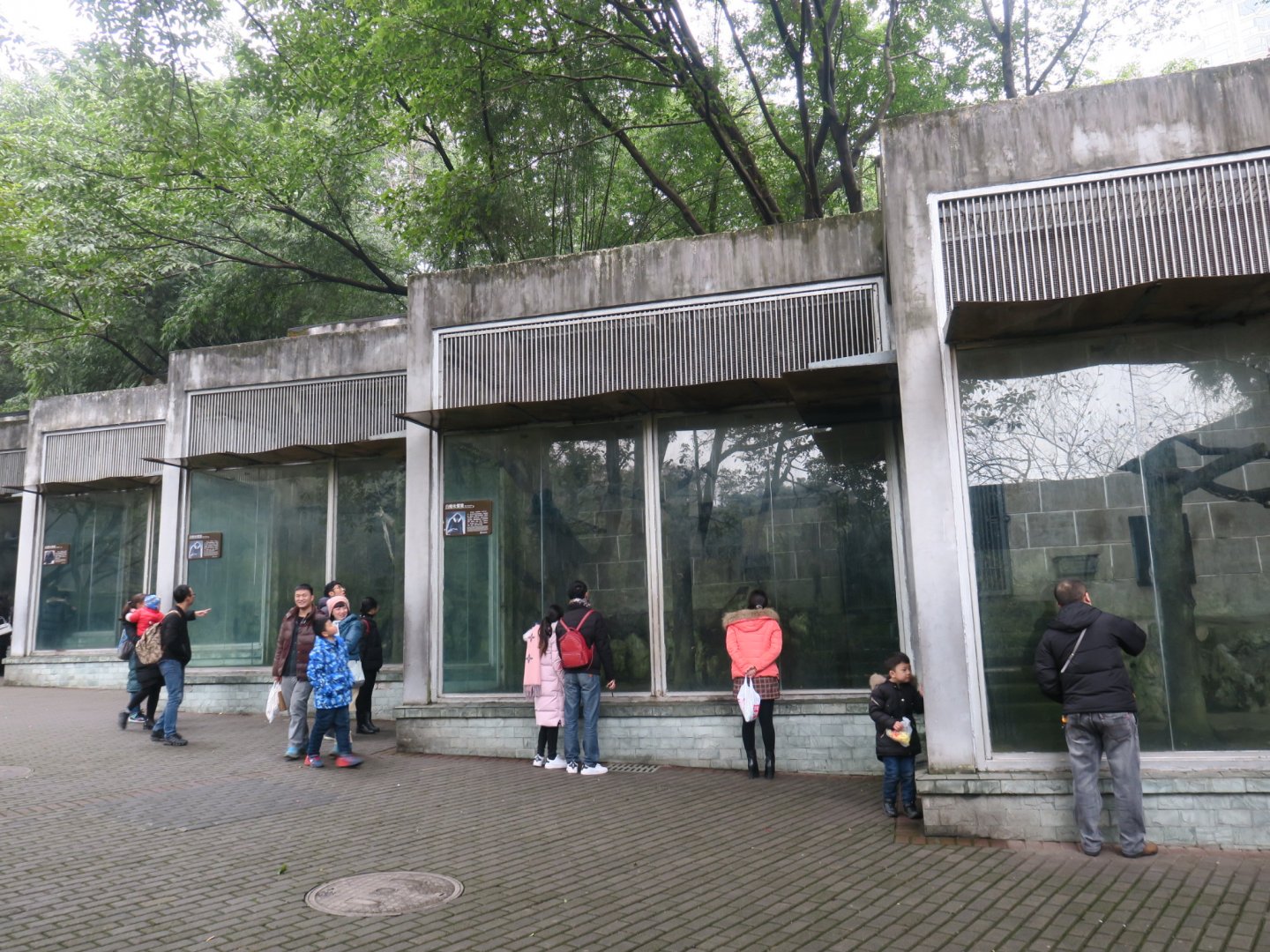 gibbon enclosure
