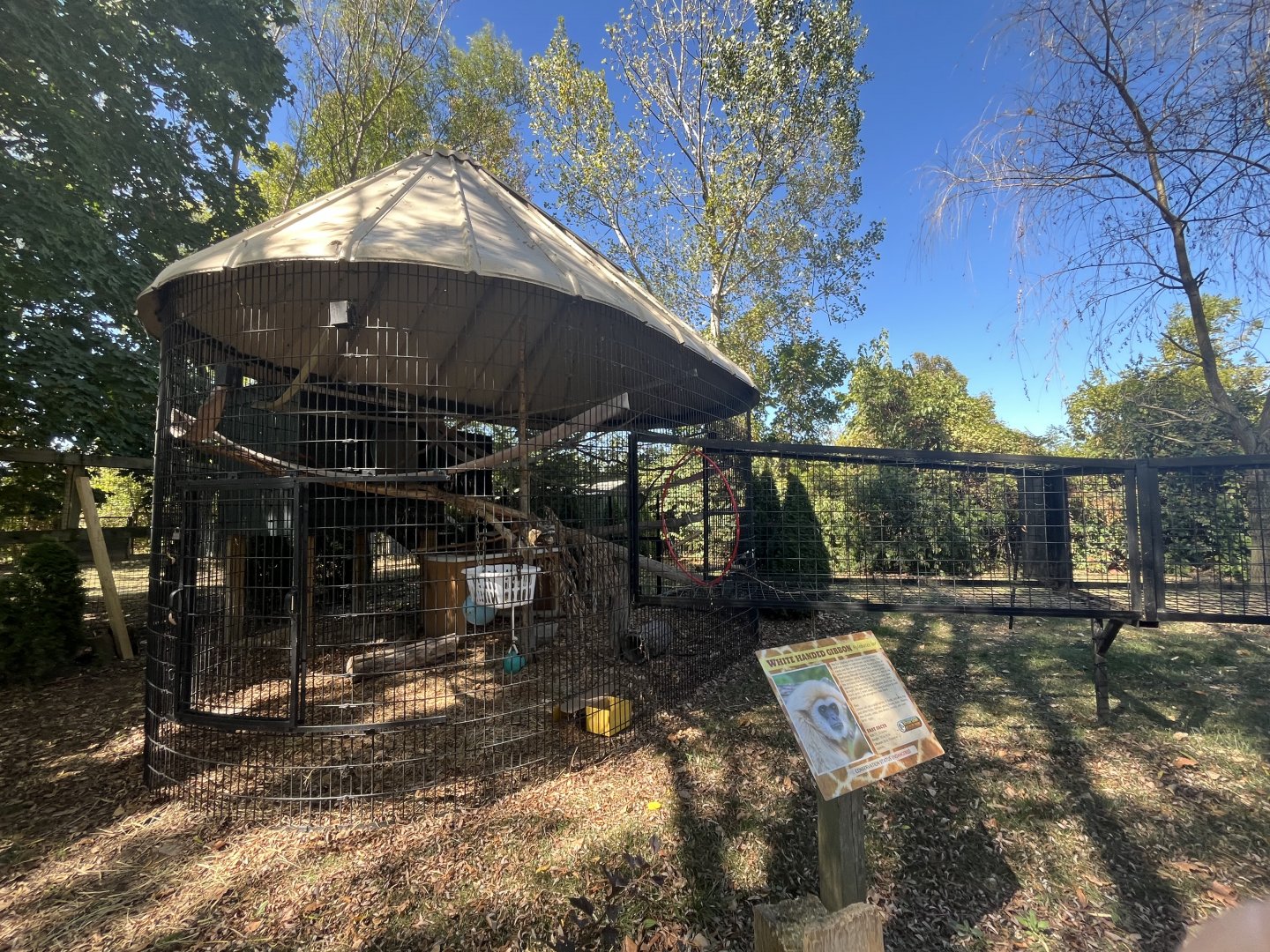 Gibbon Enclosure