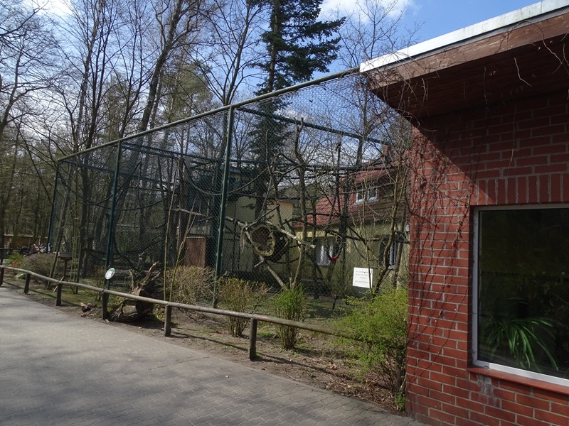 Gibbon enclosure