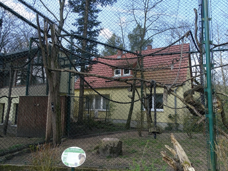 Gibbon enclosure