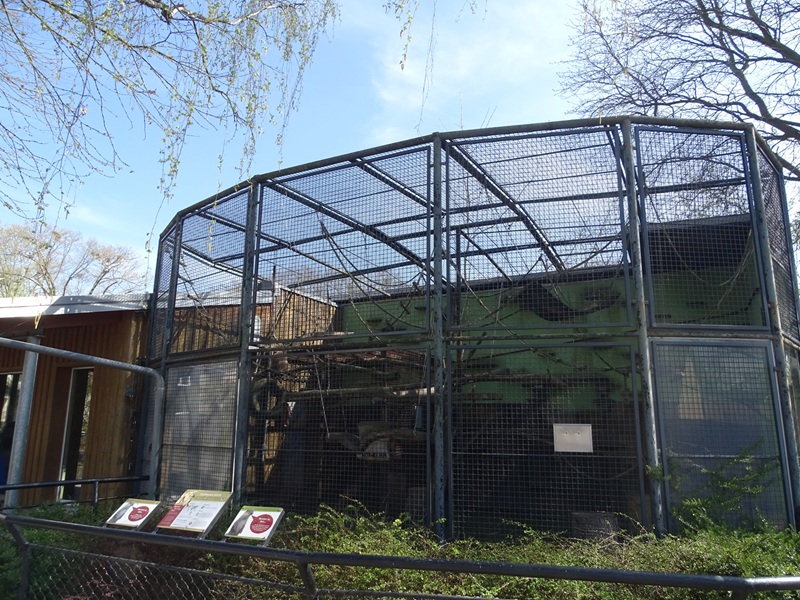 Gibbon enclosure