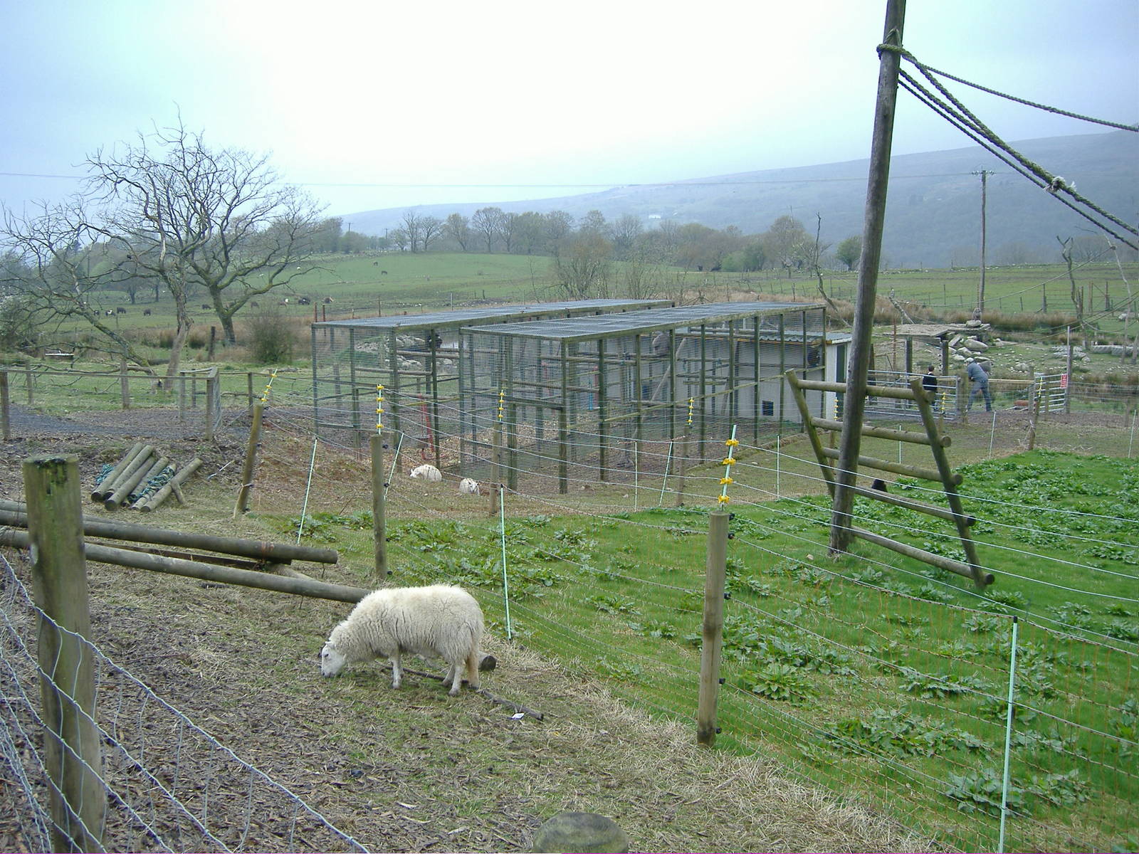 Gibbon Enclosures Cefn-yr-Erw