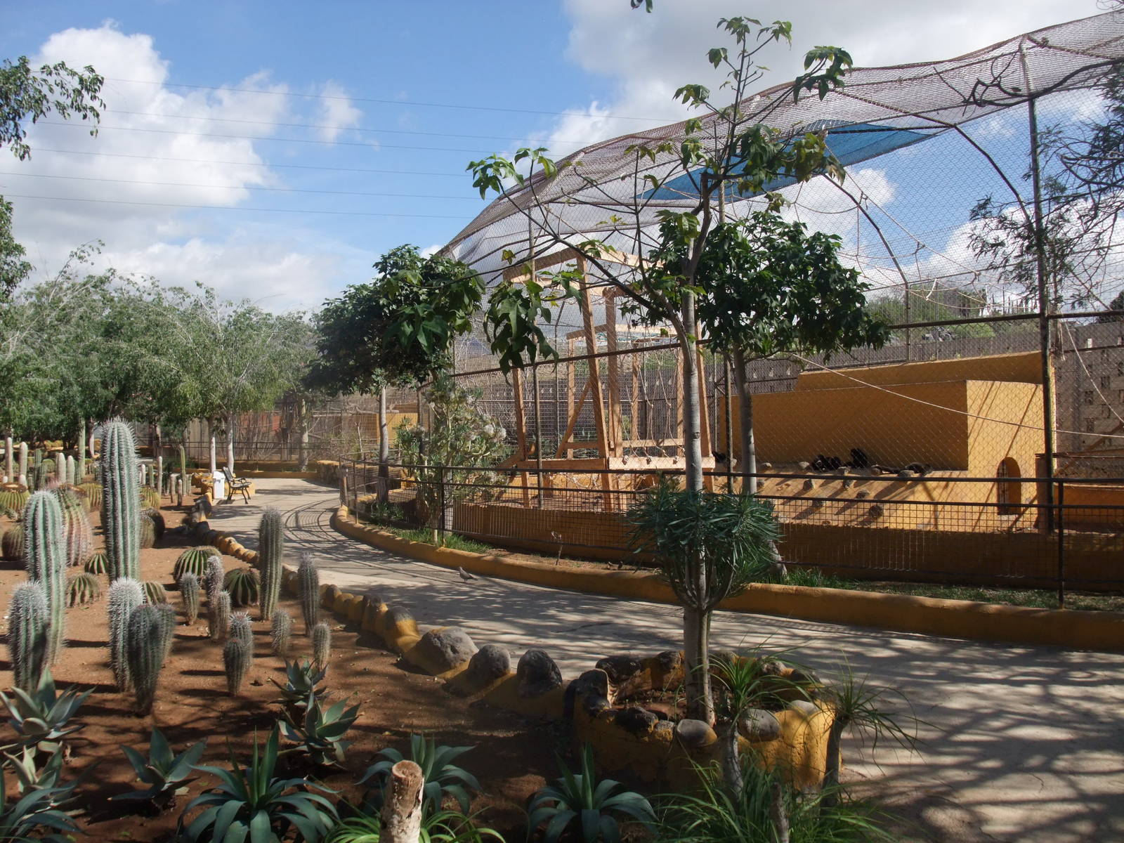 Gibbon Exhibit at Monkey Park, 09/11/10