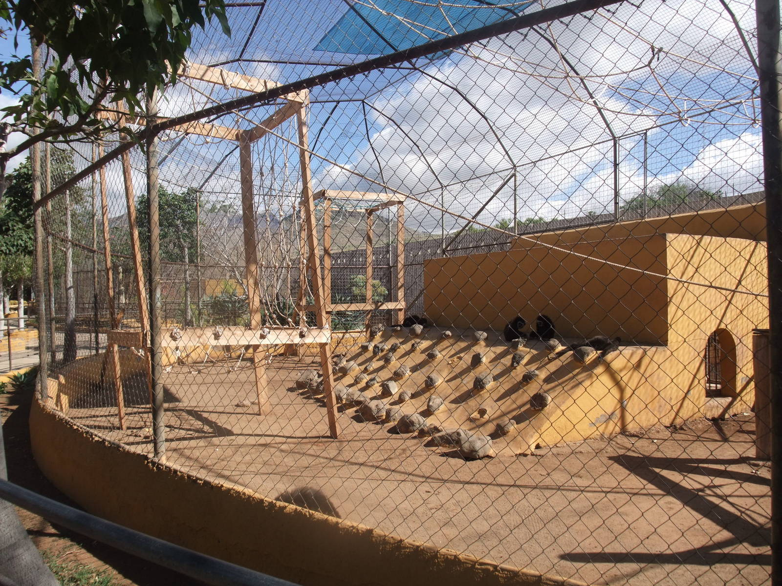 Gibbon Exhibit at Monkey Park, 09/11/10