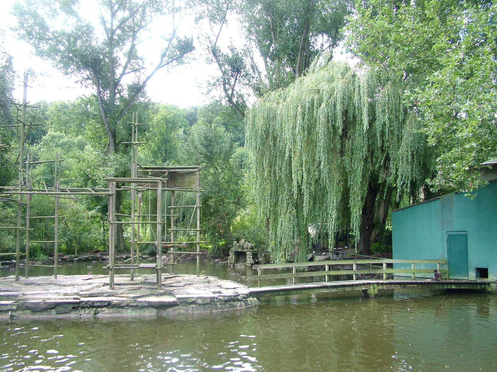 Gibbon Exhibit at Opel-Zoo Kronberg, 30/08/10