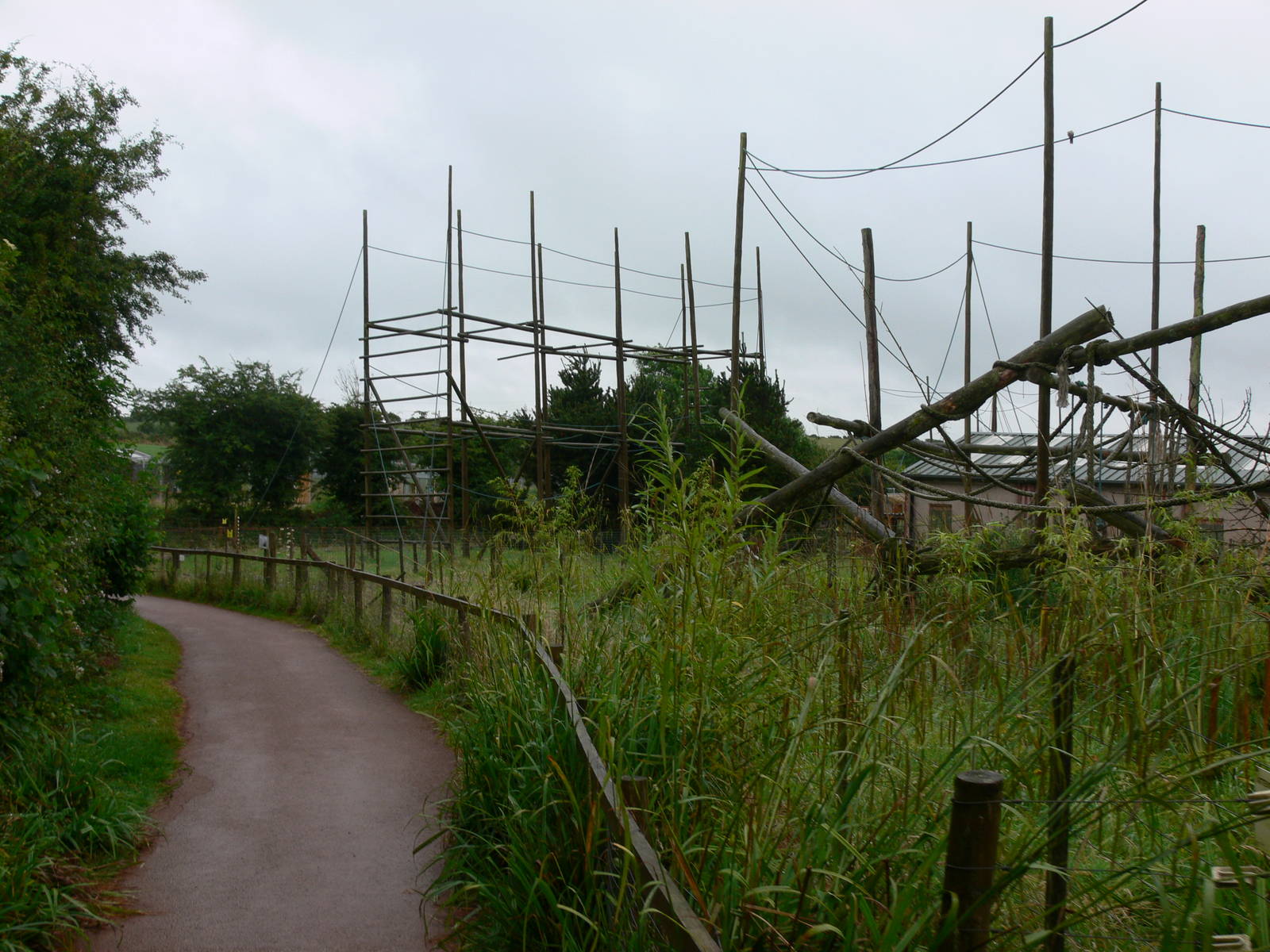 Gibbon Exhibit at South Lakes, 04/07/14