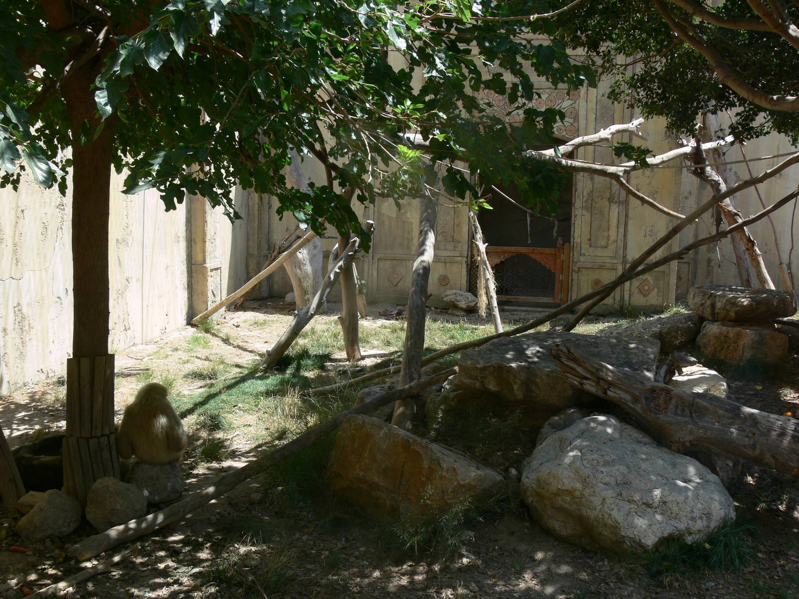 Gibbon Exhibit at Terra Natura, 03/08/14