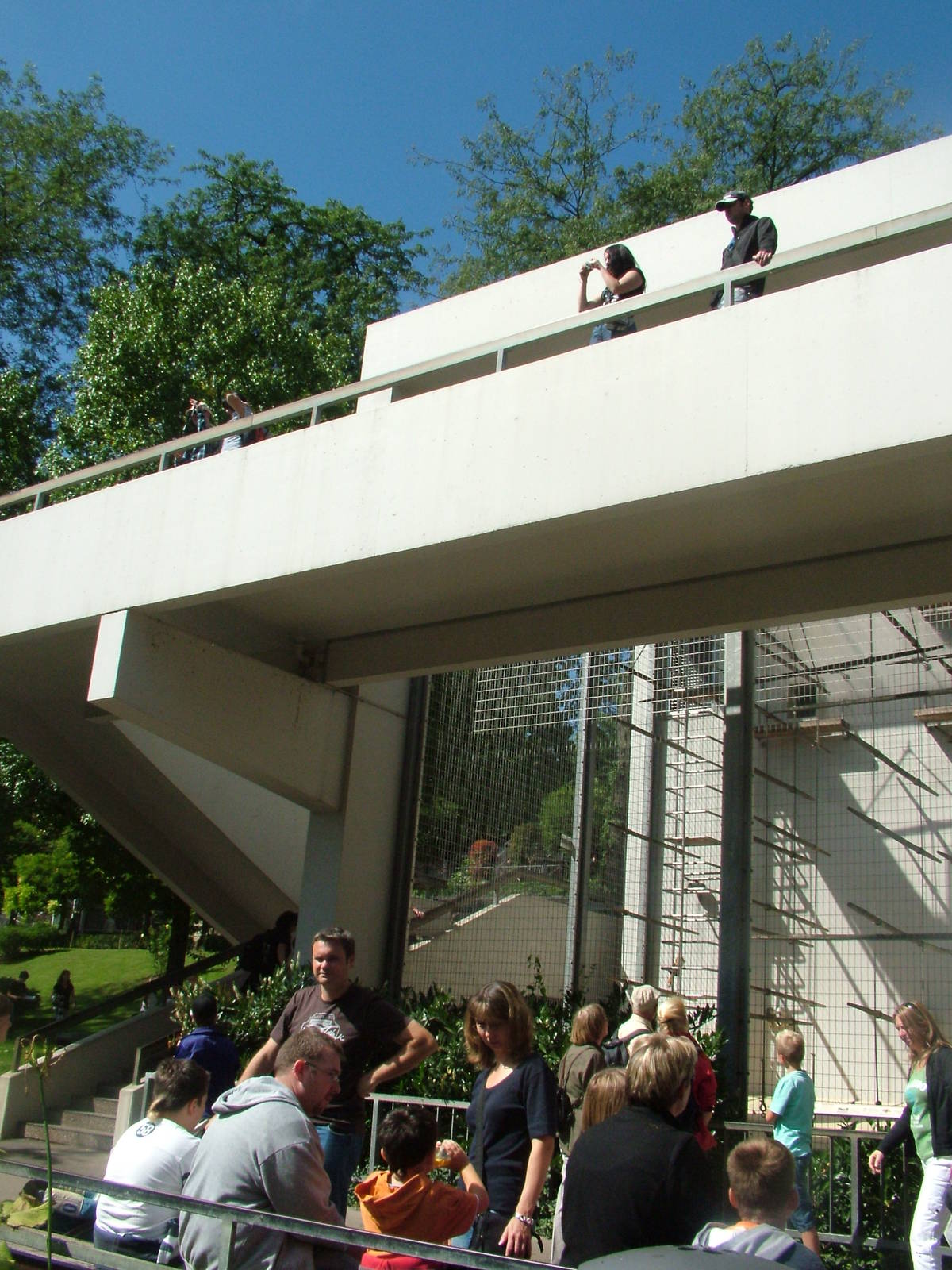 Gibbon Exhibit at Wilhelma, Stuttgart 02/09/10