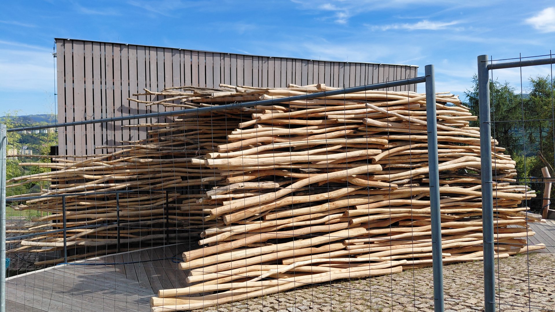 Gibbon exhibit construction
