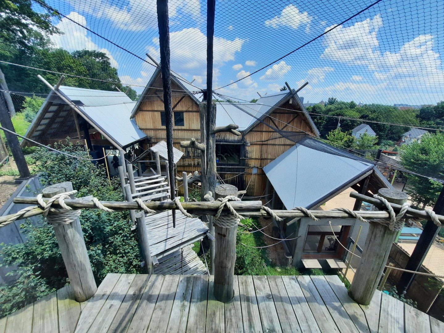 Gibbon Exhibit From the Treehouse