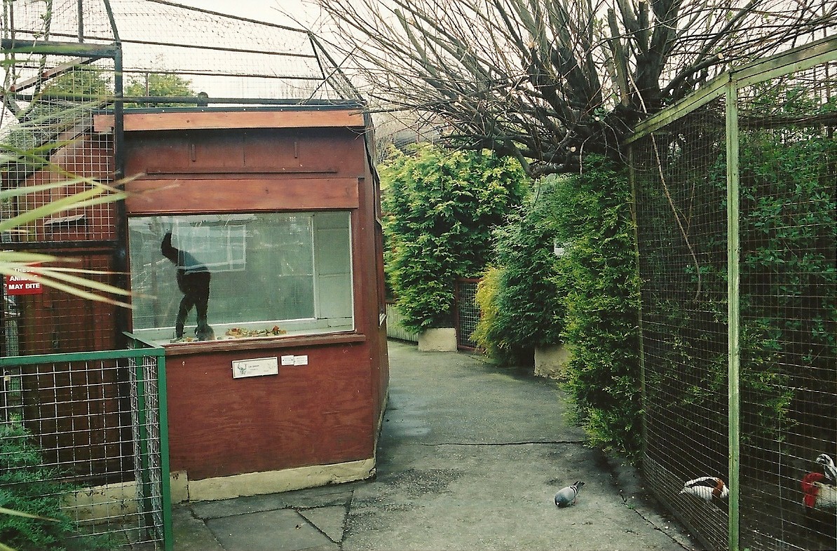 Gibbon exhibit left, waterfowl right 16th April 2004