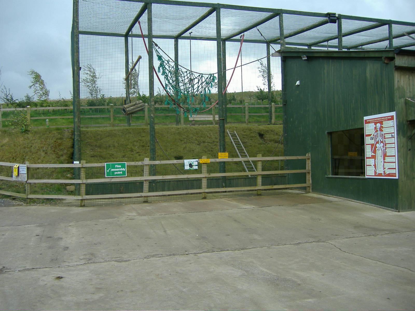 Gibbon exhibit Noahs Ark