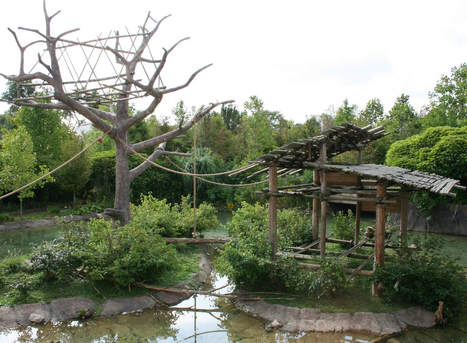 Gibbon Exhibit
