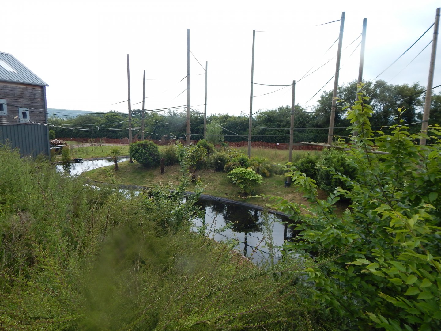 Gibbon Forest 020721