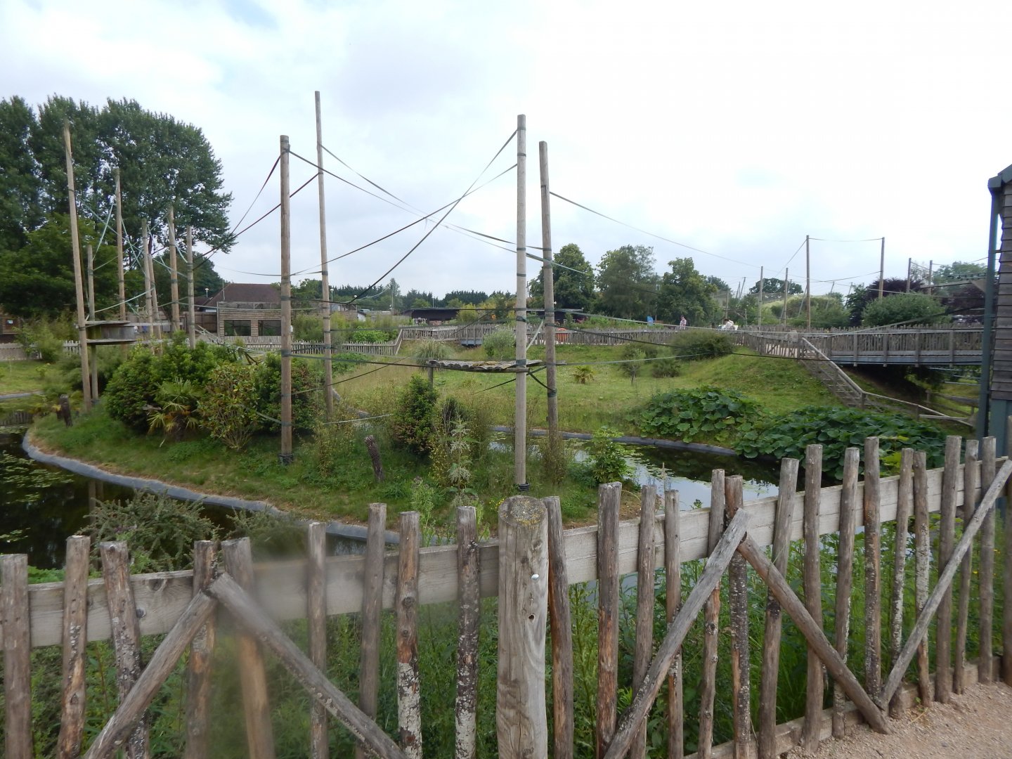 Gibbon Forest 020721