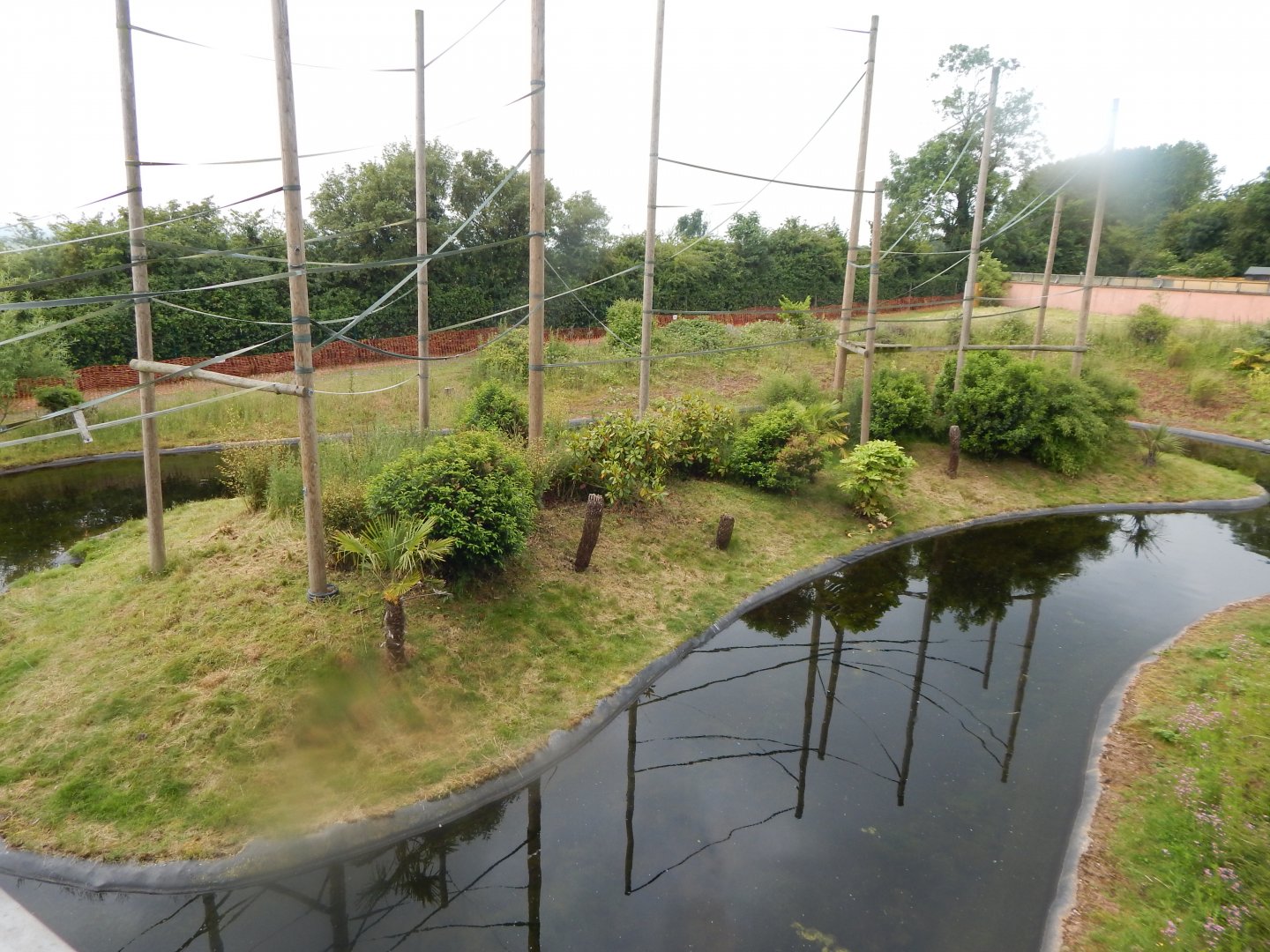 Gibbon Forest 020721