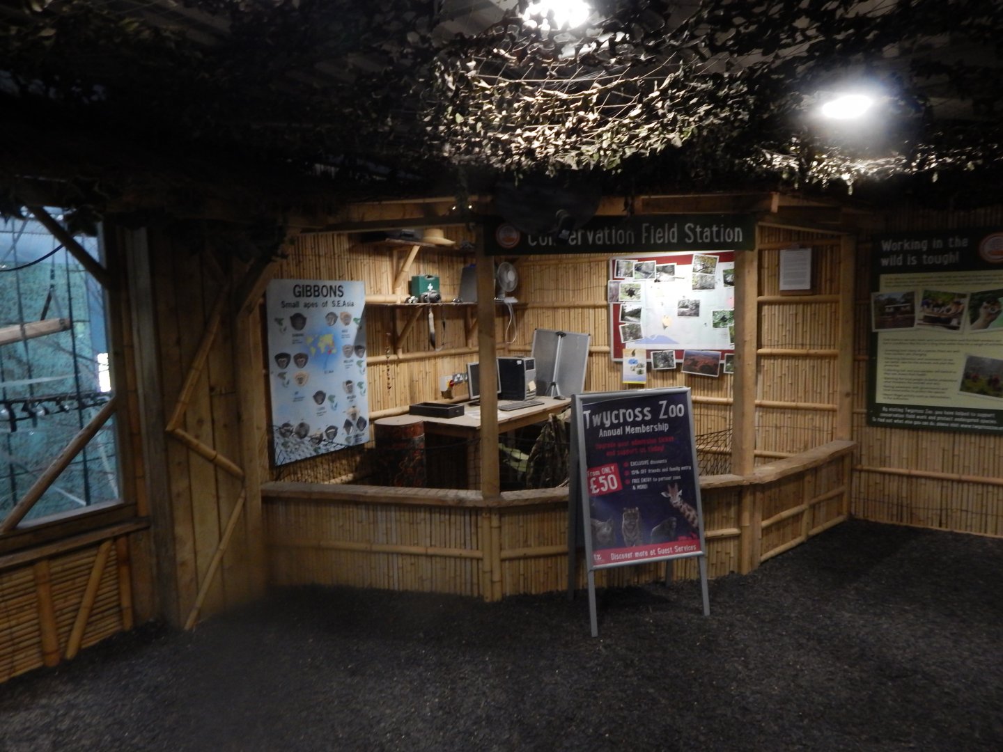 Gibbon Forest 020721