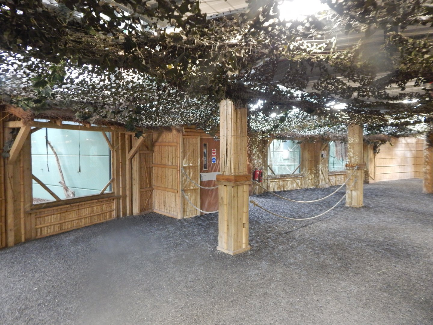 Gibbon Forest 020721