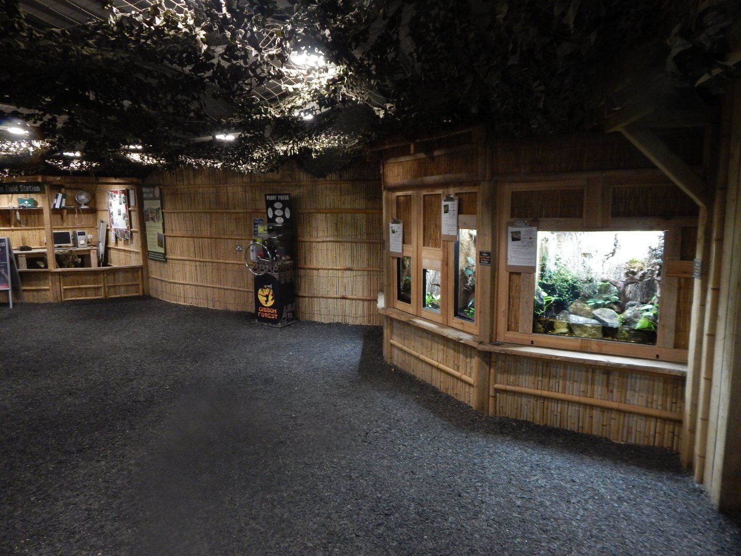 Gibbon Forest 020721