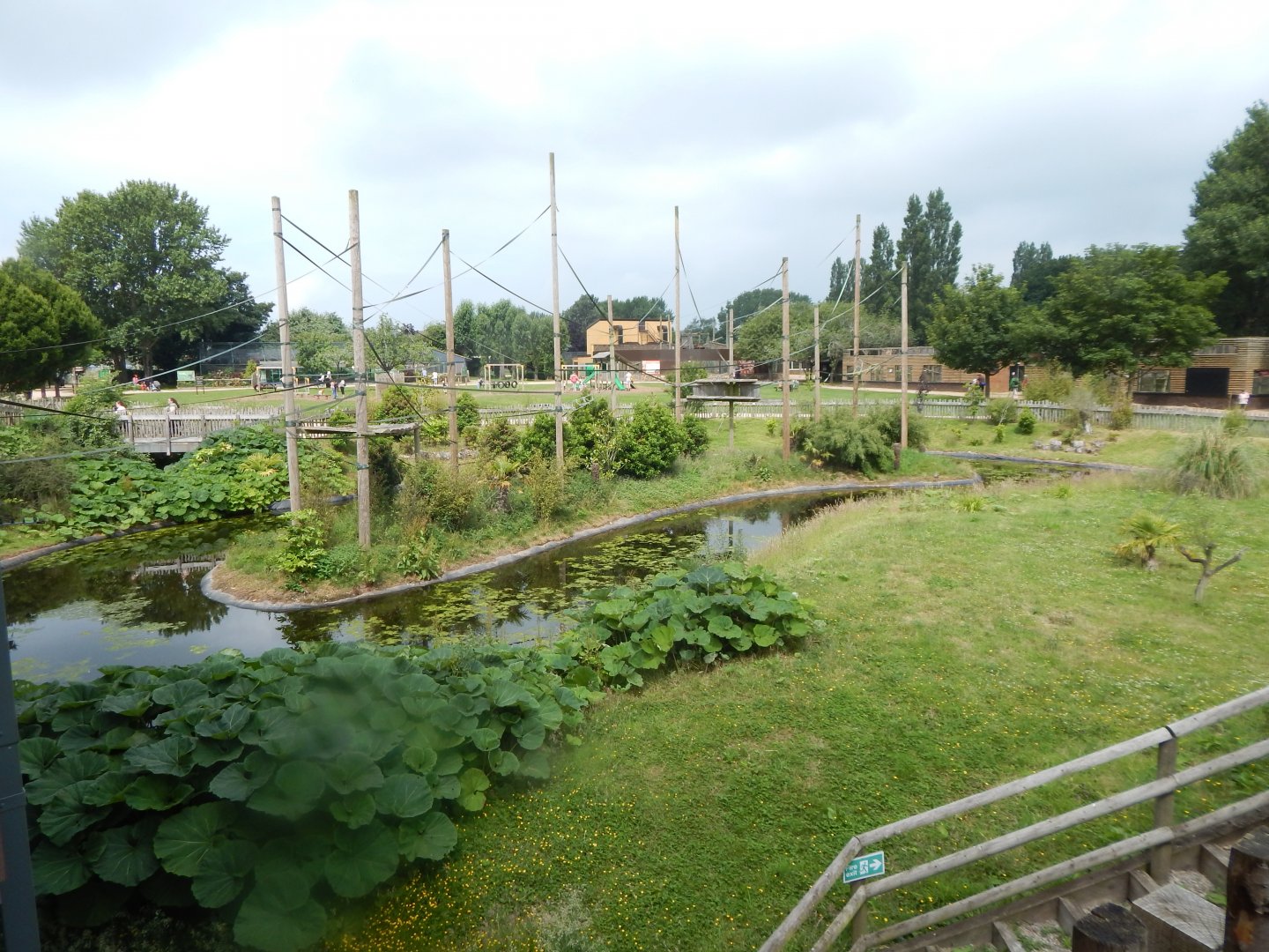 Gibbon Forest 020721