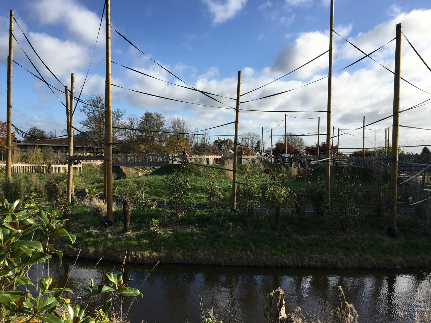 Gibbon Forest 051116