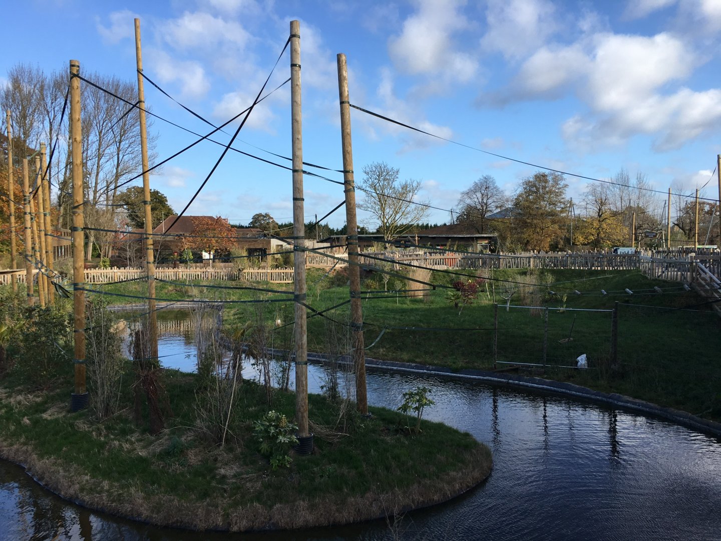 Gibbon Forest 051116