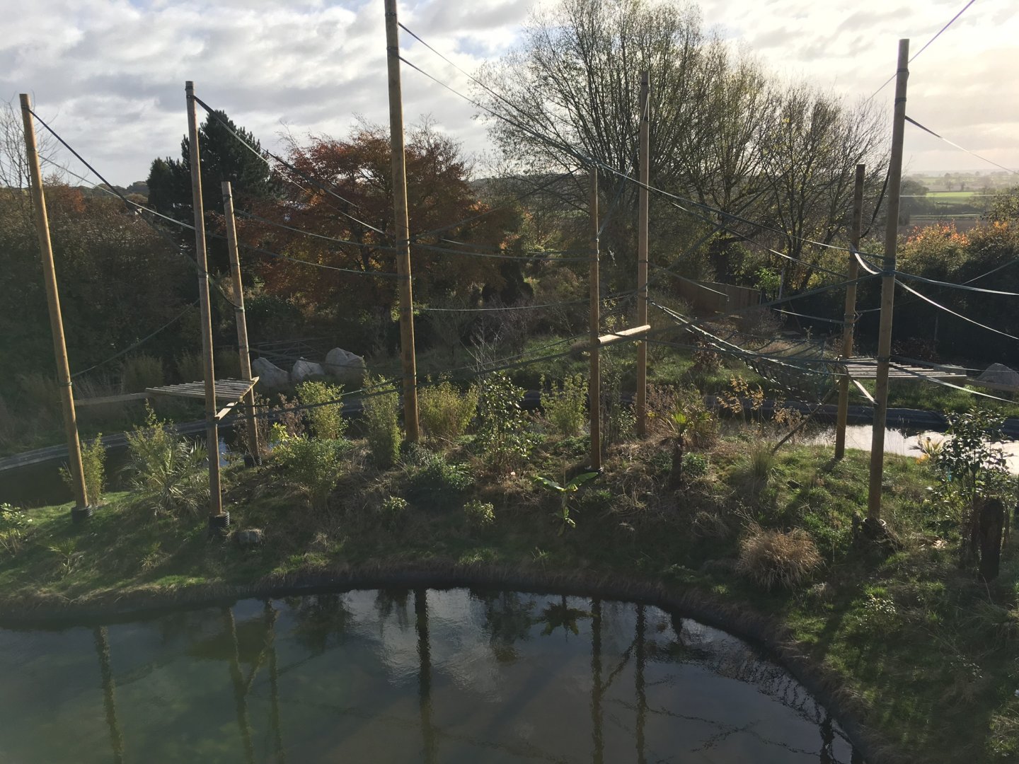 Gibbon Forest 051116