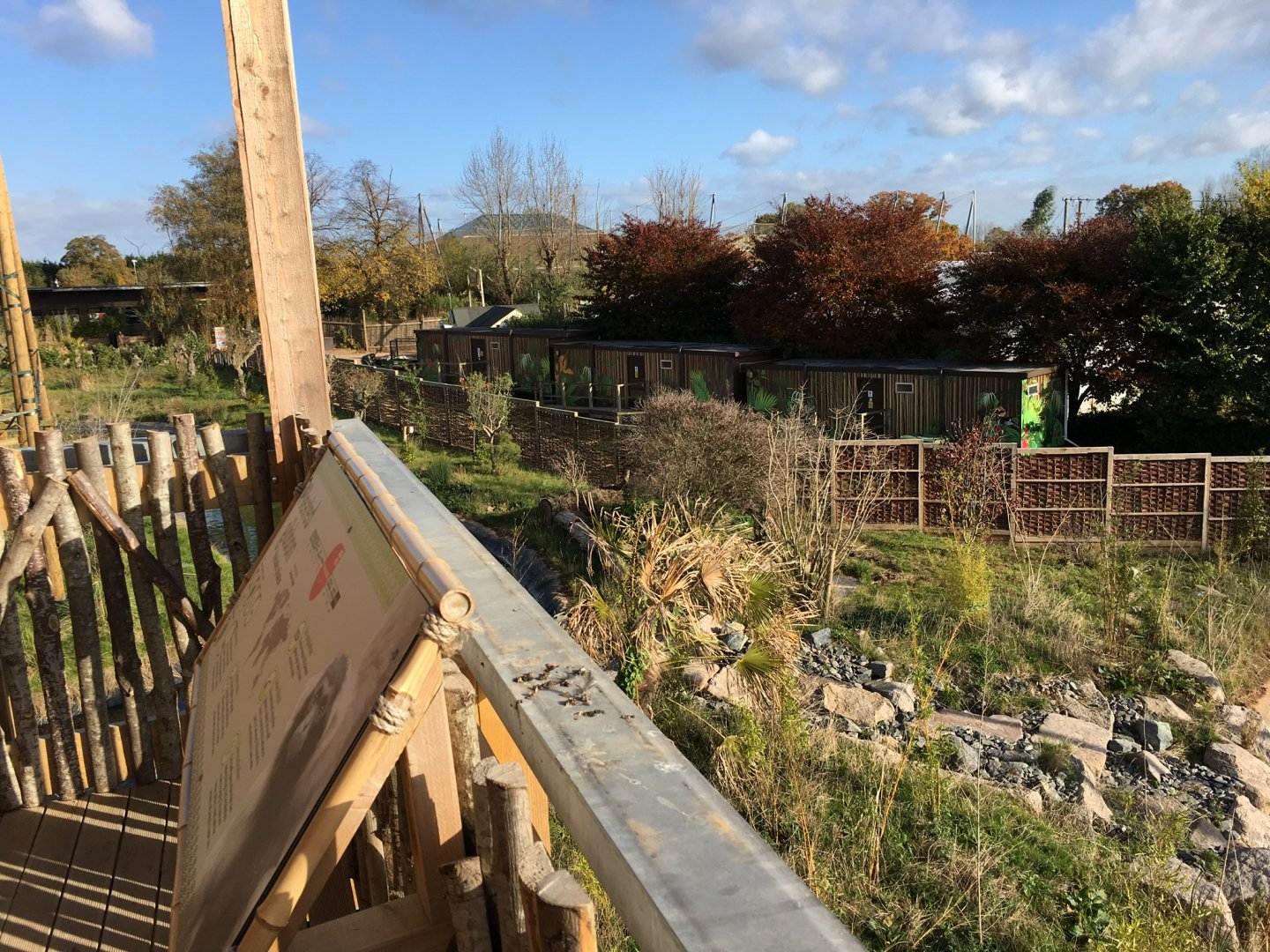 Gibbon Forest 051116