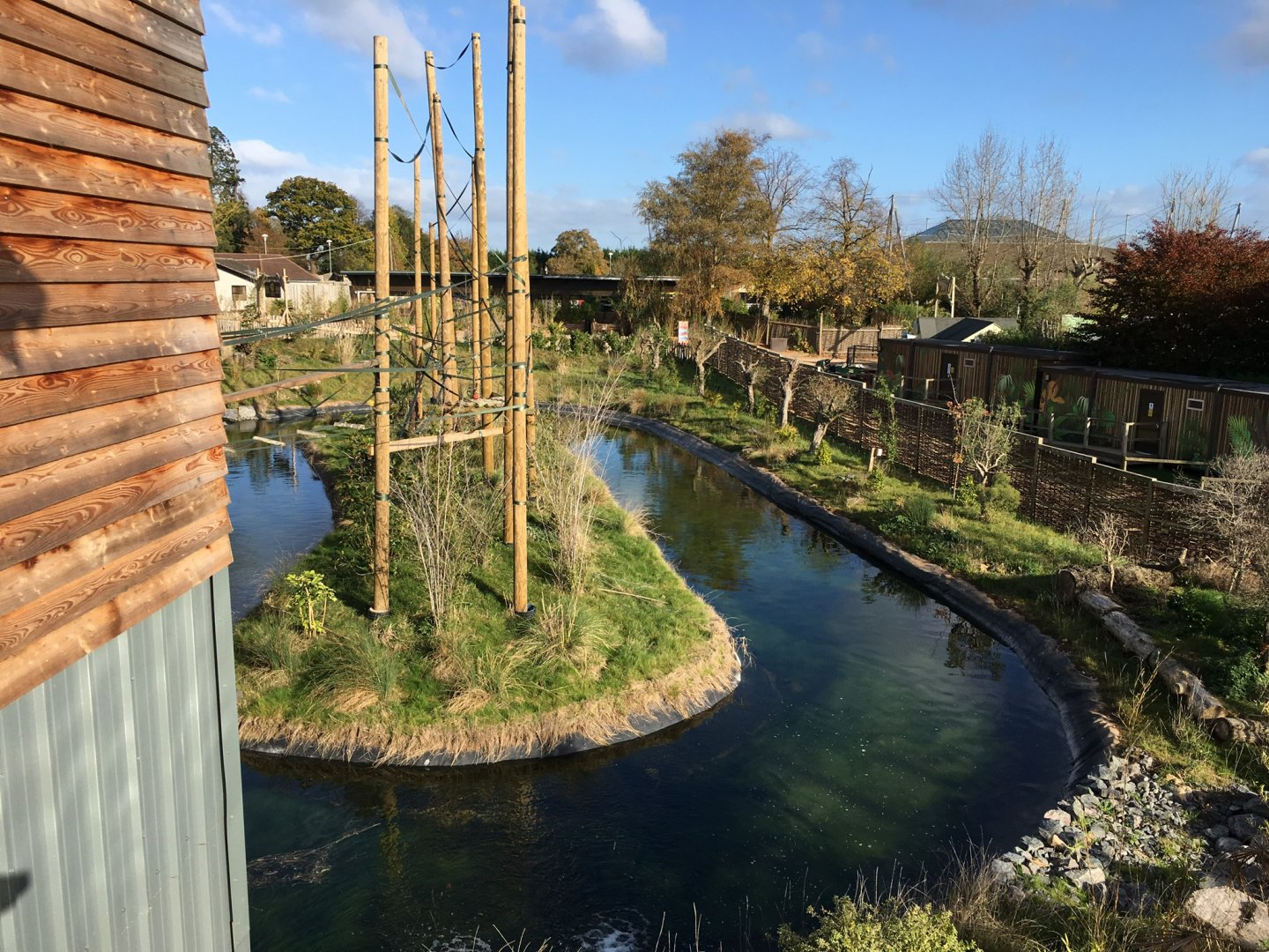 Gibbon Forest 051116