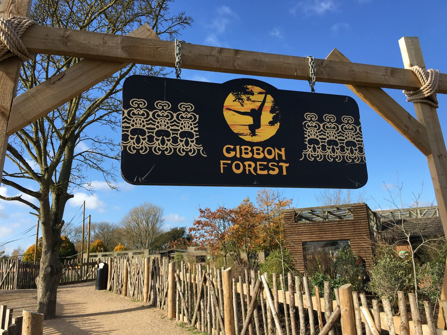 Gibbon Forest 051116