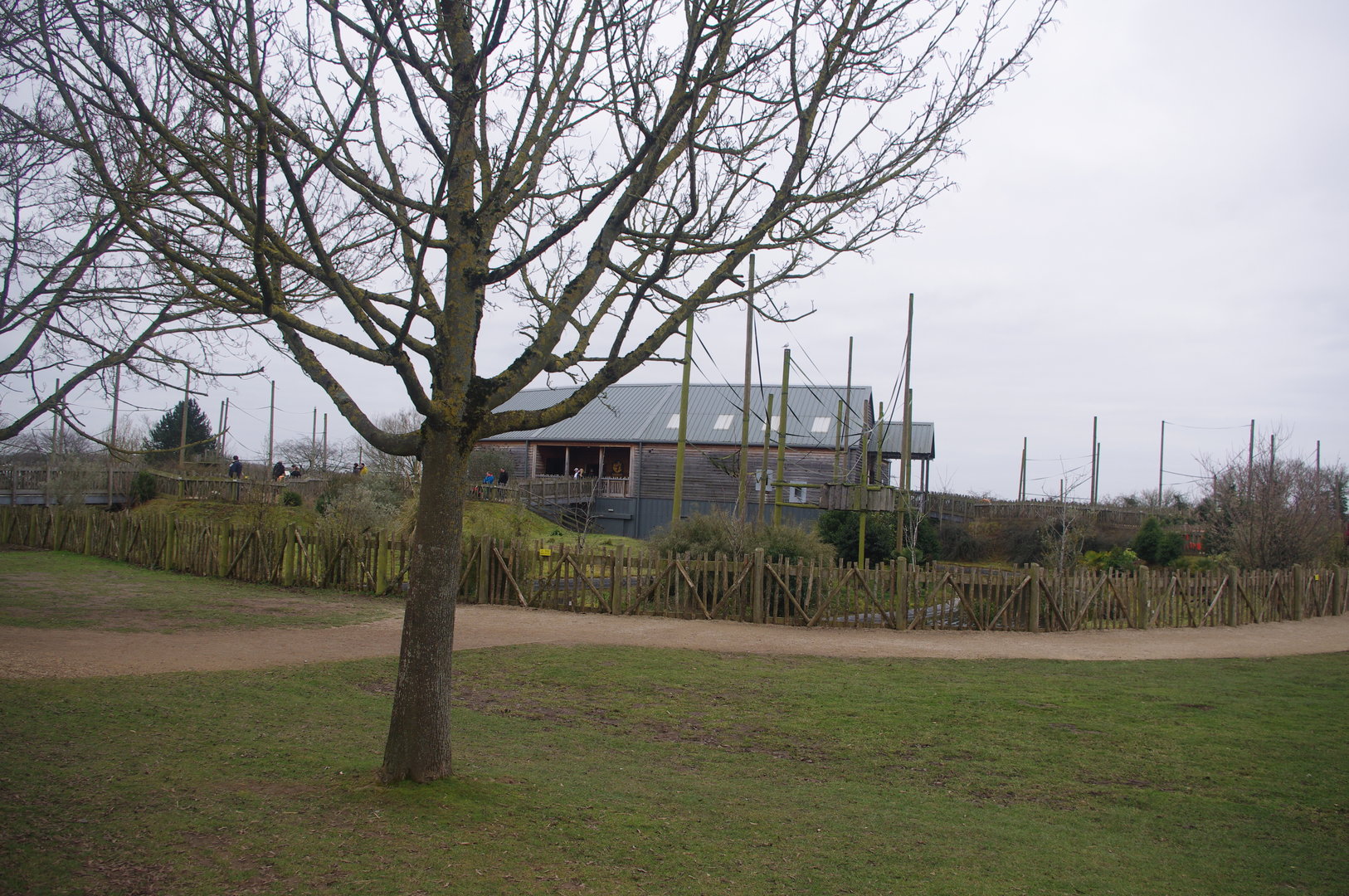 Gibbon Forest- 4/3/2023