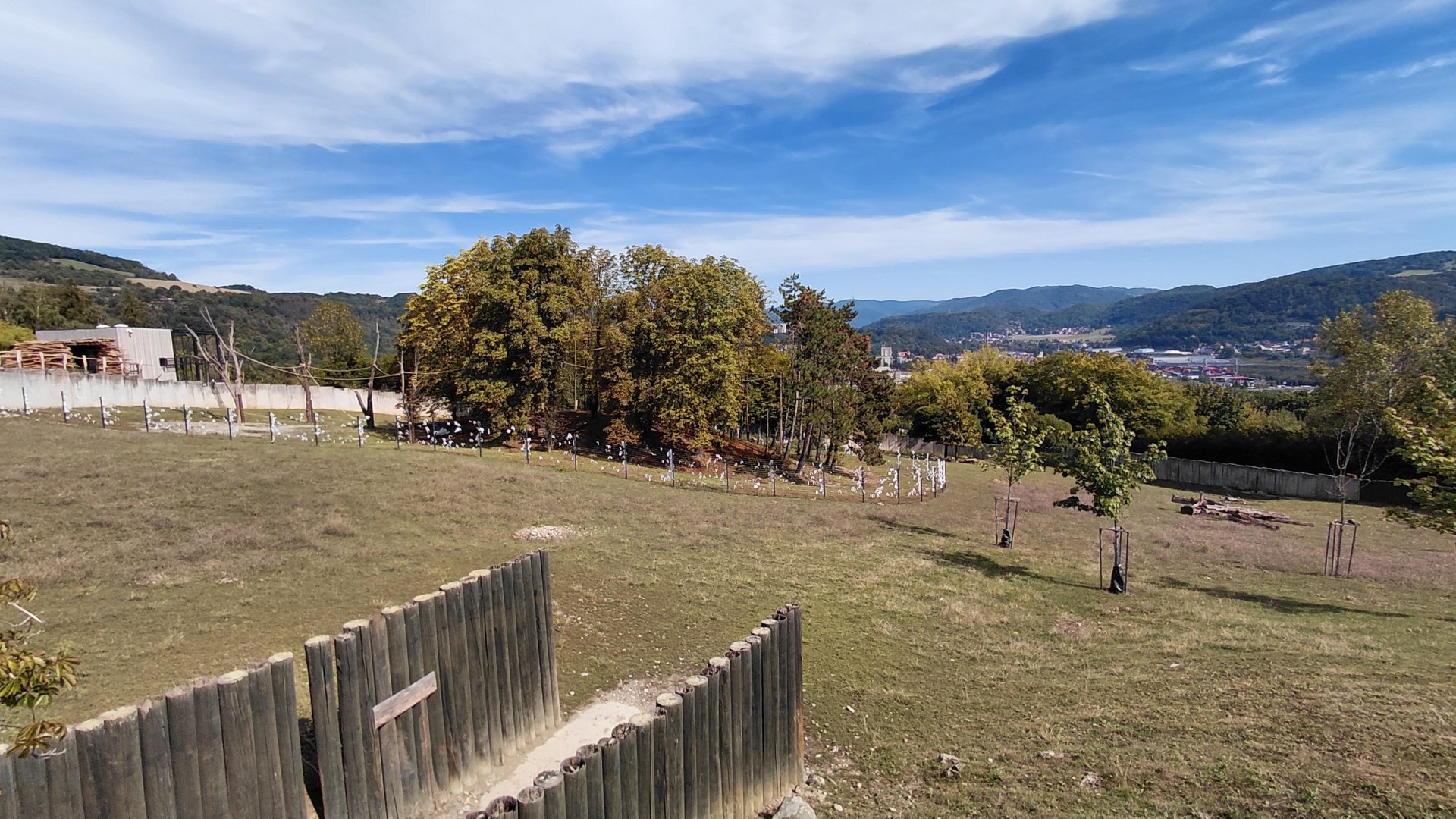 Gibbon forest and sika exhibit
