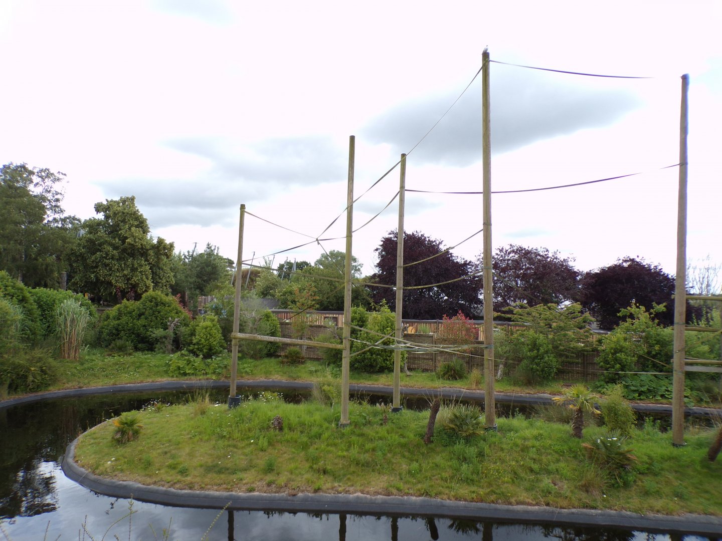 Gibbon forest aviary 7.7.24