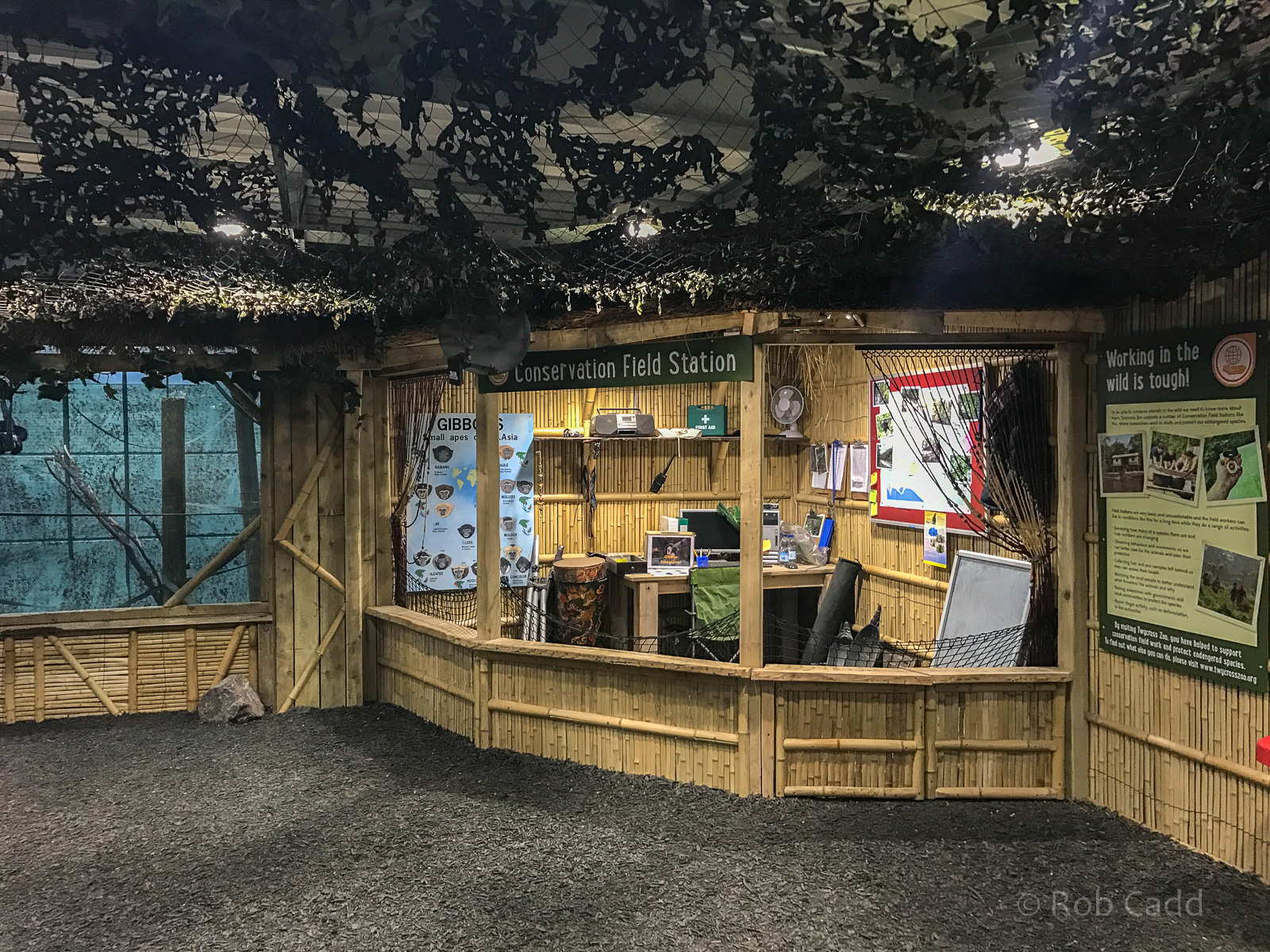 Gibbon Forest (exhibit) interior : Twycross : 18 Mar 2017