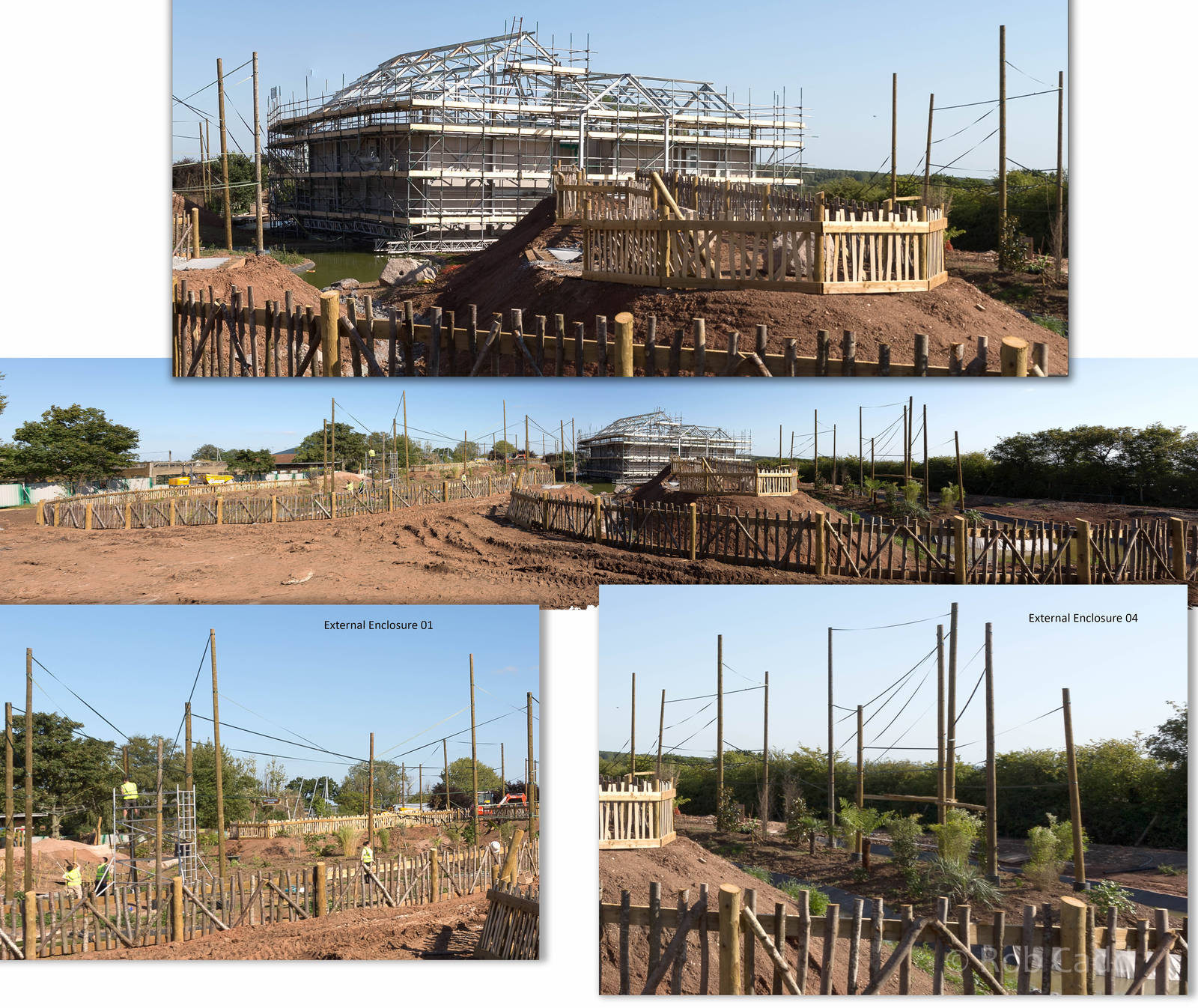 Gibbon Forest (exhibit progress) : Twycross : 06 Sep 2015