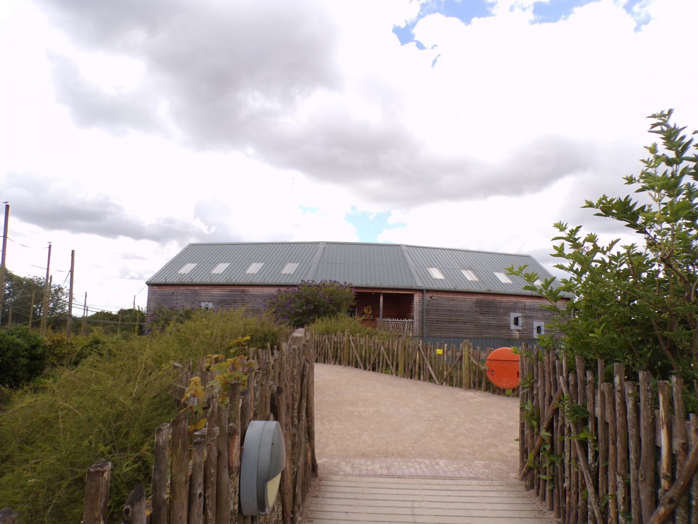 Gibbon Forest house 7.7.24