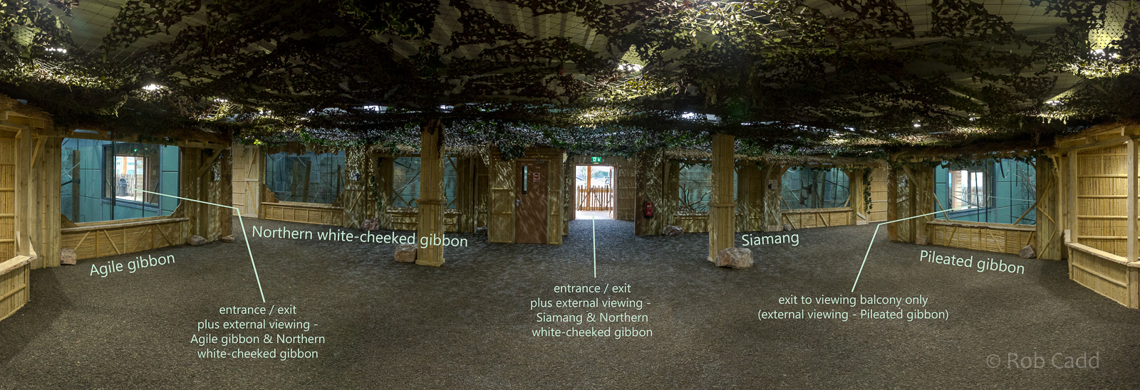 Gibbon Forest (interior visitor space) : Twycross : 26 Feb 2016