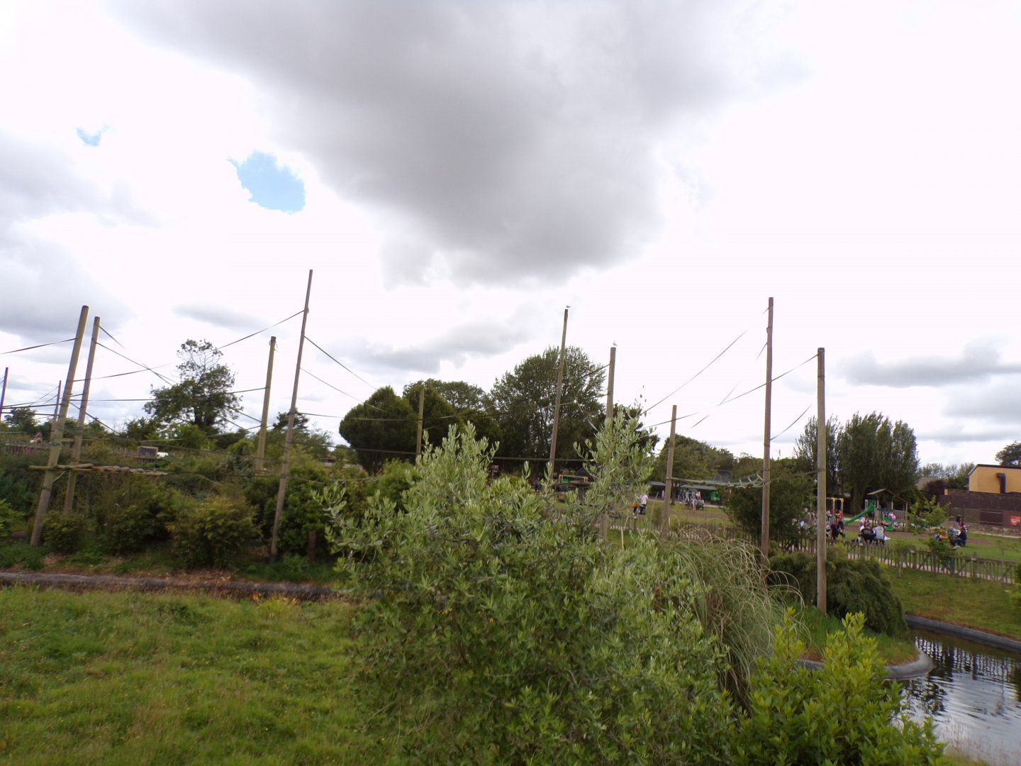 Gibbon forest island 7.7.24