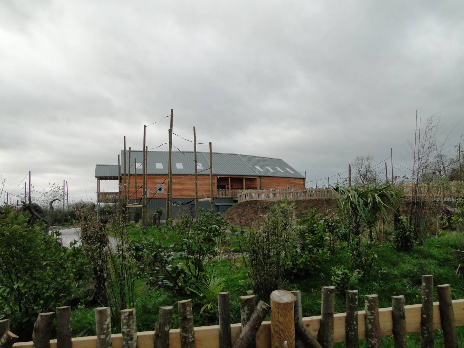 Gibbon Forest Tuesday 22nd December 2015 - 1 of 16 (sorry!)